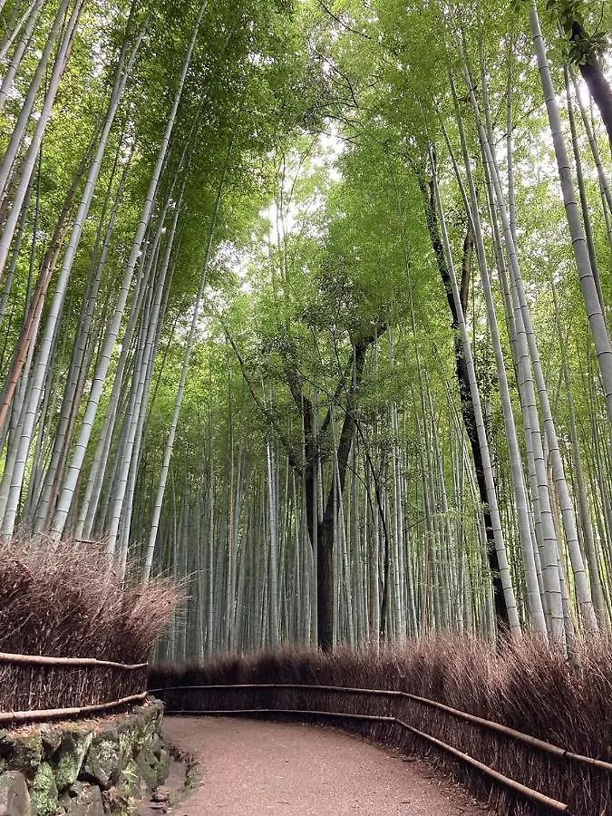 Hotel Tavinos Kioto 3*,  Japonia